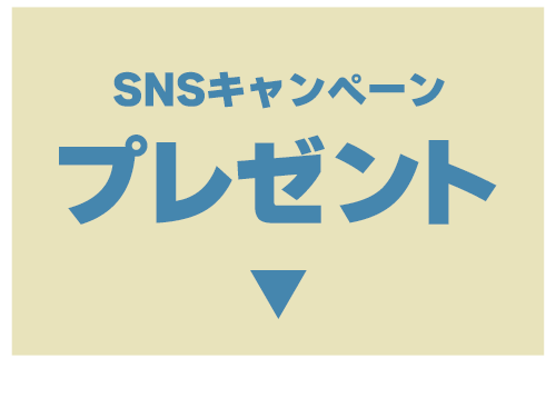 �v���[���g