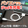 iPad[dP[u