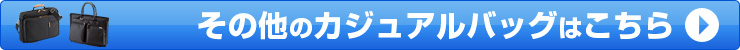 ̑̃JWAobO͂