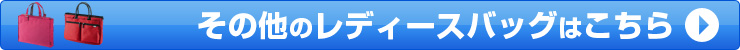 ̑̃fB[XobO͂