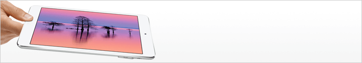 iPad miniJo[EP[X
