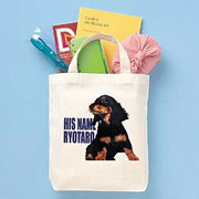 JP-BAGSET11