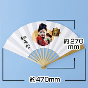JP-SEN3