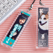 JP-ST14