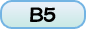 B5