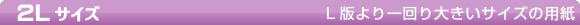 2LTCY@Lł傫TCY̗p