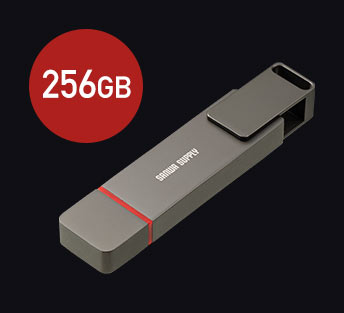 600-USSC256GB