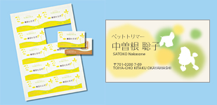 300-MC06BG