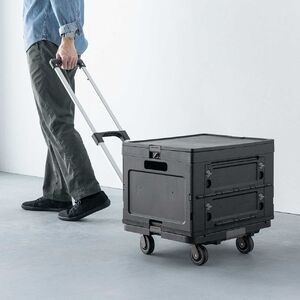 100-CART029SETBK ܂肽ݑ p