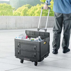 100-CART029SETBK ܂肽ݑ p