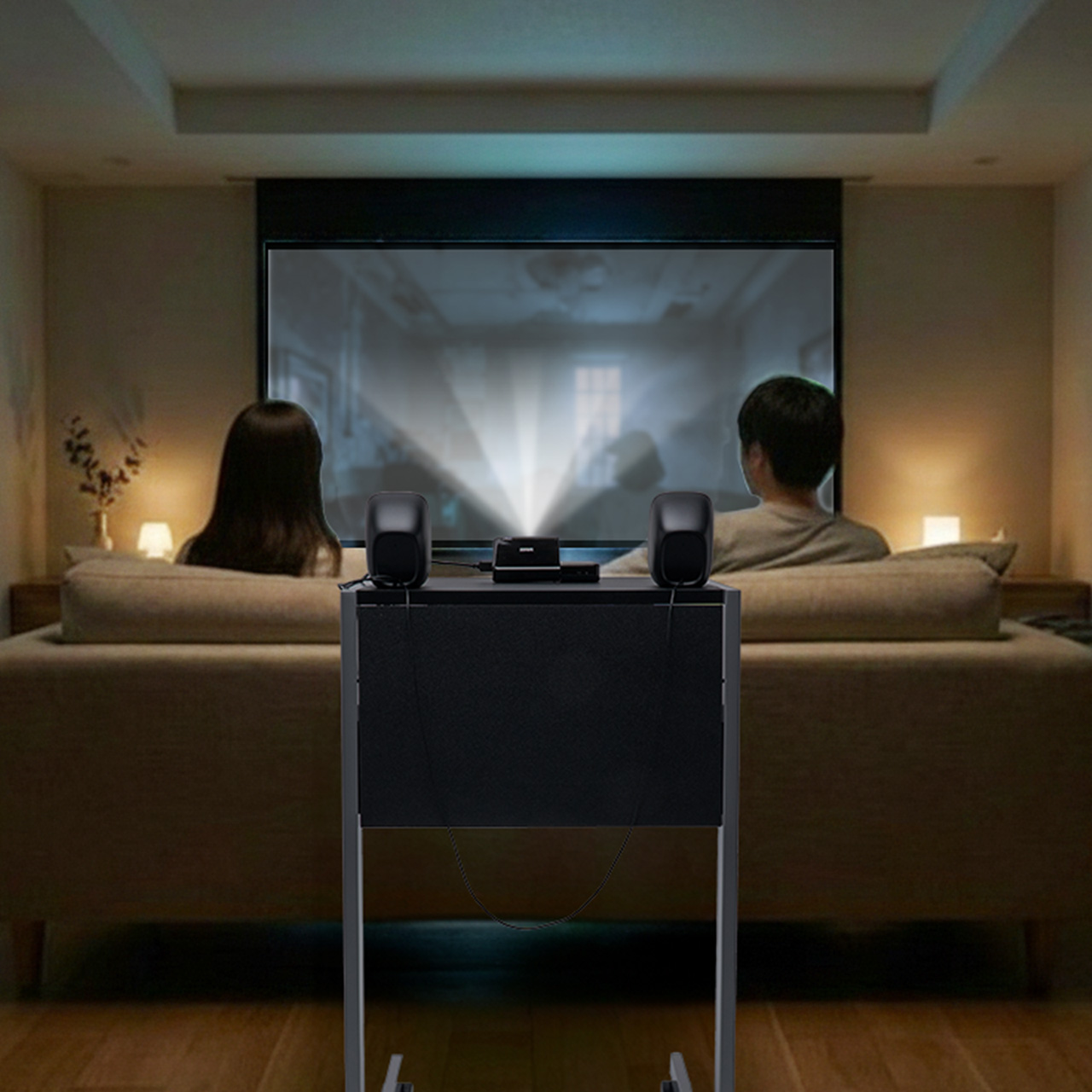 �v���W�F�N�^�[�� �V�g�� ���I�t �P�[�u���󂯕t �L���X�^�[�t