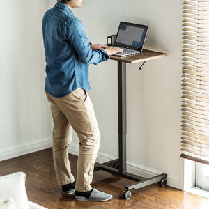 X^fBOfXN RpNg KX~ 62cm s43cm 76`110cm uE LX^[t 肷h~