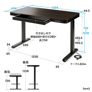 電動昇降デスク スタンディング 引き出し付き 収納付き 自動昇降 メモリー機能 幅120cm 奥行60cm 充電機能付き 100-ERD039M  |サンワダイレクト