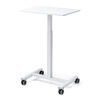 X^fBOfXN RpNg KX~ 62cm s43cm 76`110cm LX^[t Ɍy 肷h~ zCg 100-ERD048W