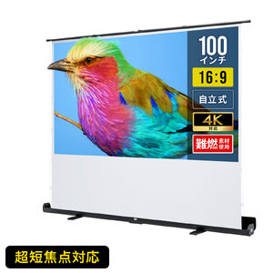 yVi|Cg10{zvWFN^[XN[ 100C`  Zœ_Ή u 4K tHD ^ ȒPݒu z[VA^[ h p^Ot 16:9 gȂ