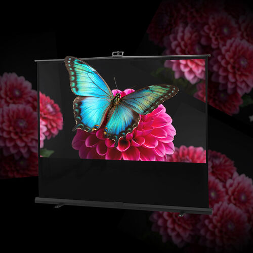 サンワダイレクト本店 サンワサプライ【オフィス・PC周辺通販】