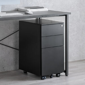 100-SNW029BK �f�X�N���S�� �L���r