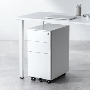 100-SNW029W ڍ׎ʐ^2