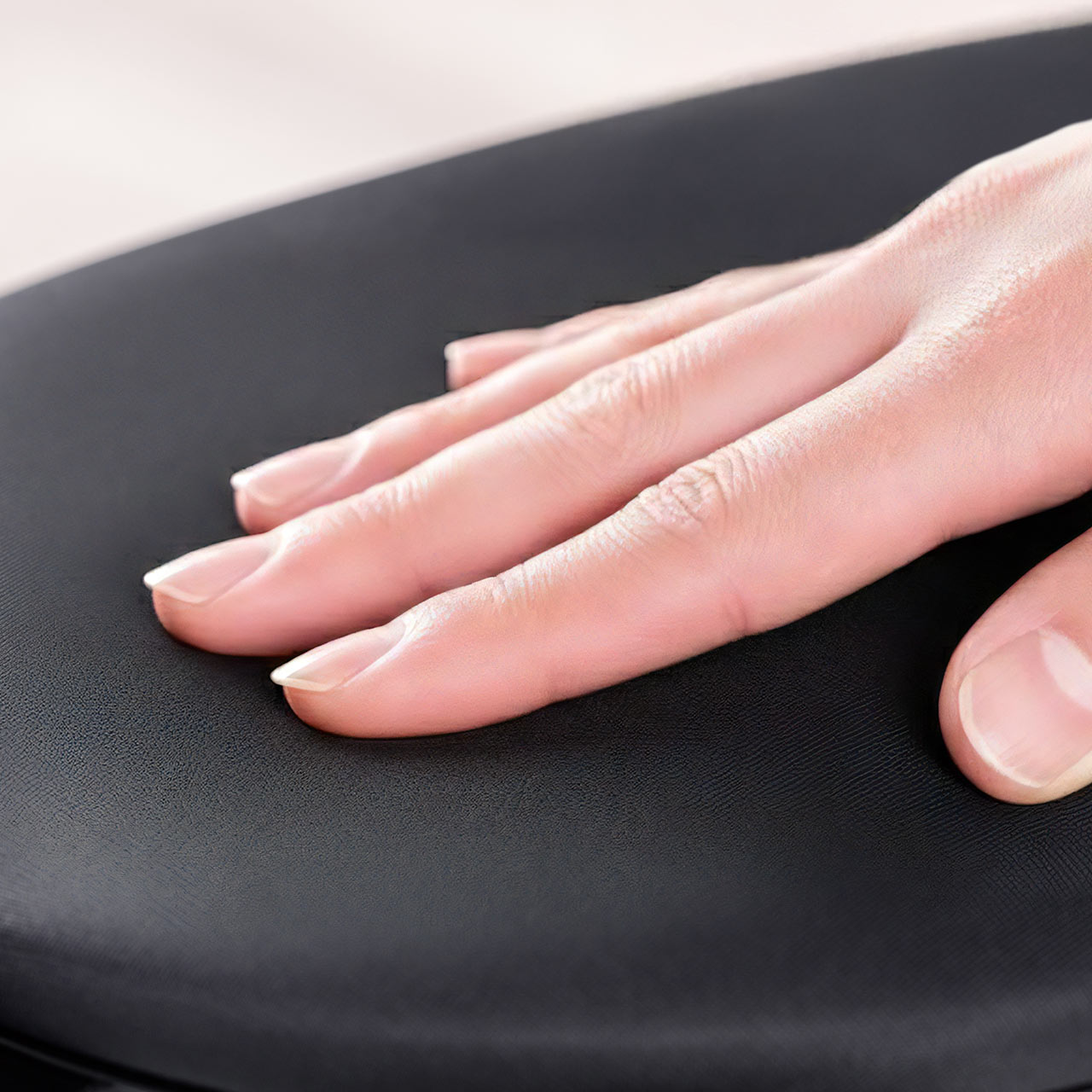 ���X�g���X�g �I�u���� �N�����v��t ��20cm �N�b�V�������� �G���S�m�~�N�X �u���b�N