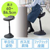 fXN`FA p nCXc[ oX`FA JE^[`FA ɑ΍ KX~ ubN 150-SNCERG22BK