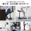 fXN`FA p nCXc[ oX`FA JE^[`FA ɑ΍ KX~ ubN 150-SNCERG22BK