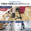 �G���S�`�F�A �o�����X�`�F�A �n�C�X�c�[�� �p������ ���ɑ΍� �K�X�����~ ���ʊp�x����