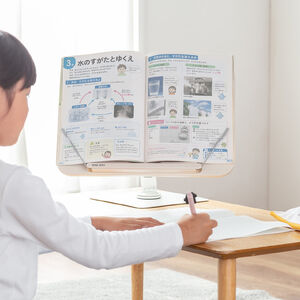 チェア（椅子）（カラー オレンジ）の販売商品一覧｜通販ならサンワ