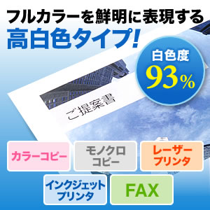 コピー用紙（B4サイズ・500枚×5冊・2500枚・高白色） 300-CP1B4の販売