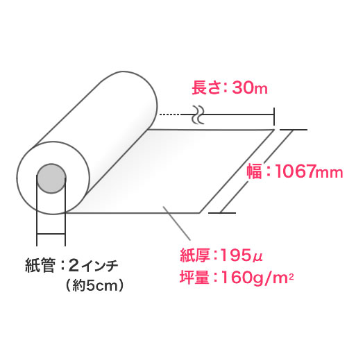 プロッター用紙・ロール紙（フォト光沢紙・1067mm×30m・42インチロール