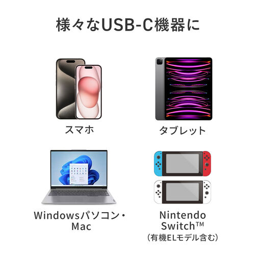 USB-C nu 5-in-1 PD100W [d SD microSD J[h[_[ CzWbN USB-A|[g 5Gbps iPhone iPad X}z ^ubg A~ 400-ADR339GM