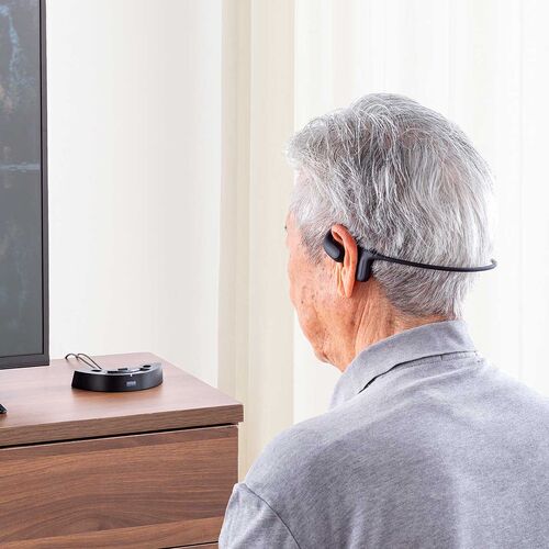 �ȒP����ł���������I���K�Ƀe���r�������ł��郏�C�����X�C���z���𔭔�