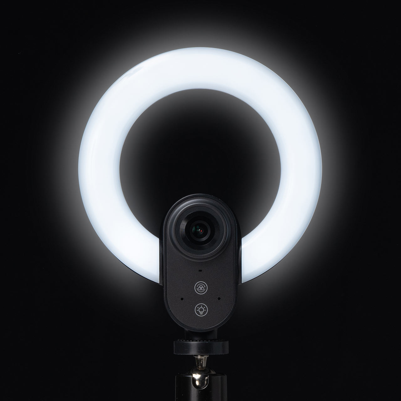 LEDリングライト付き WEBカメラ 1080p 3光色 画角84° オートフォーカス マイクなし スタンド付属 Zoom/Teams/Skypeなど対応 400-CAM100