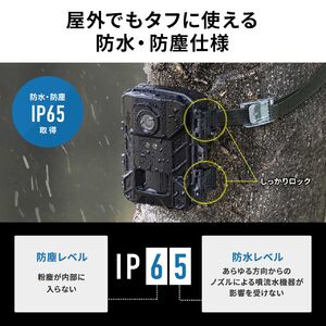 トレイルカメラ 防犯カメラ 屋外対応 4K 動物撮影 鳥獣対策 IP65防水 5000万画素保存 夜間撮影対応 2つの赤外線センサー搭載  400-CAM107 | 通販ならサンワダイレクト