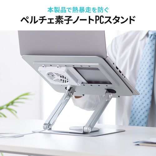 yViP10{zm[gp\RN[[ y`F p 17C`Ή USB PDd iKpx pʒu 400-CLN039