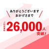 �y20��Z�b�g�z���C�����X�K�C�h�V�X�e�� �K�C�h�p�C���z���}�C�N �c�A�[�K�C�h�V�X�e�� �o���� �ő�255��ڑ� ���s �c�� �K�C�h���V�[�o�[  �K�C�h���[�_�[ �C���J�� ���� �V�X�K�C�h �H�ꌩ�w