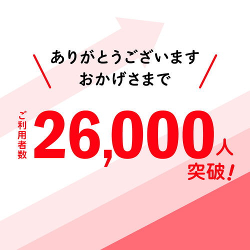 ���C�����X�K�C�h�V�X�e�� �K�C�h�p�C���z���}�C�N �K�C�h�}�C�N �o�����ʐM �ő�255��ڑ� ���s �c�� �K�C�h���V�[�o�[  �K�C�h���[�_�[ �C���J�� �����K�C�h �H�ꌩ�w �y��