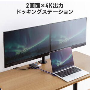 ドッキングステーション HDMI2つ 2画面出力対応 4K/60Hz対応 USB ドッキングステーション HDMI2つ 2画面出力対応 4K/60Hz対応 USB
