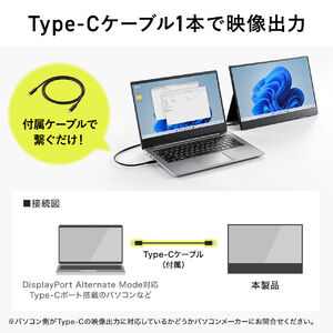 モバイルモニター 15.6インチ フルHD IPS 非光沢 アンチグレア USB Type-C HDMI入力 スタンド付き 400-LCD002  |サンワダイレクト