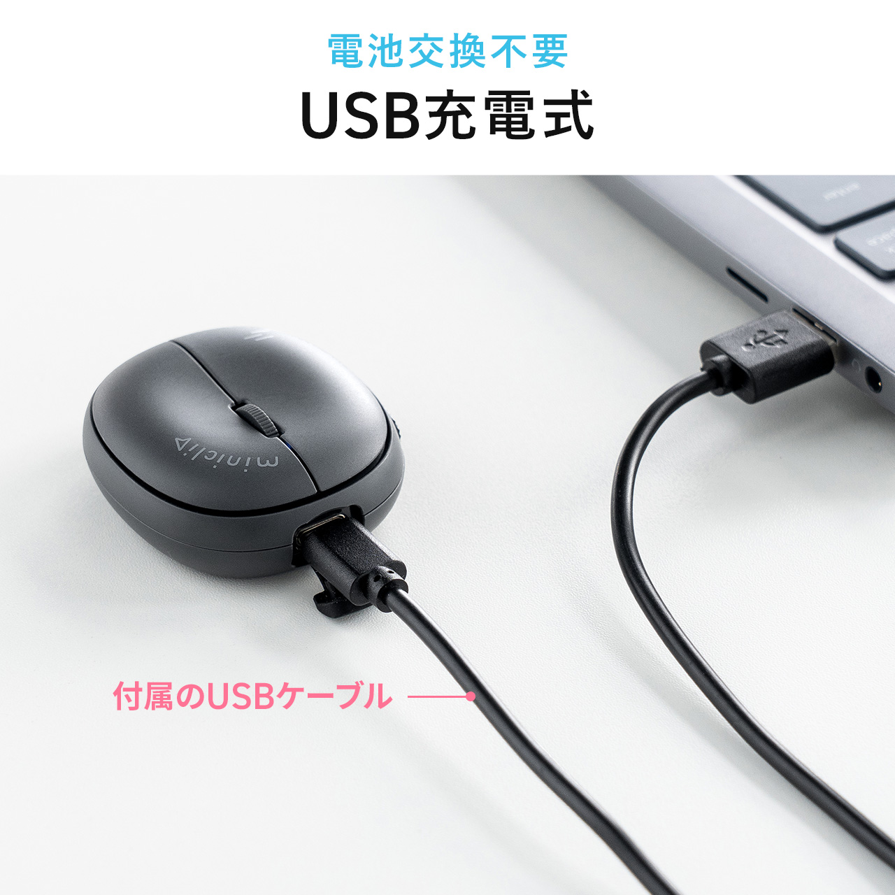 ^ }EX Bluetooth CX Xgbvt 5{^ [d ^  oC}EX RpNg }`yAO miniclip zCg 400-MABT210W