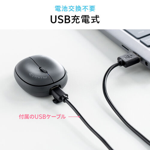 ^ }EX Bluetooth CX Xgbvt 5{^ [d ^  oC}EX RpNg }`yAO miniclip zCg 400-MABT210W
