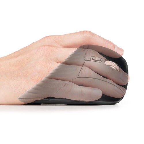 �������`���g���ځI��񂪊y�ȃG���S�g���b�N�{�[���𔭔�