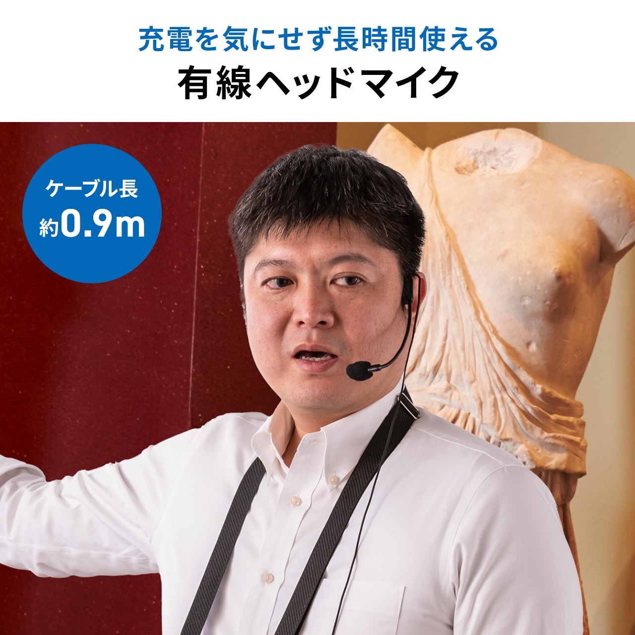 サンワダイレクト本店 サンワサプライ【オフィス・PC周辺通販】