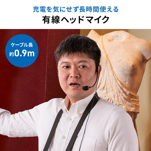 サンワダイレクト本店 サンワサプライ【オフィス・PC周辺通販】