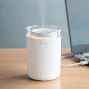   g e 500ml 10ԘA^] USBd Type-C É ^ 30ml`70ml/h LEDCg ItBX fXN ԍ Q zCg