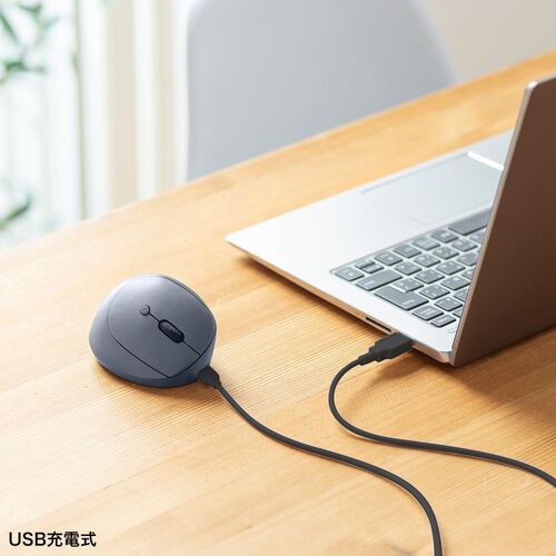 ���C�����X�}�E�X Bluetooth ���^ �G���S�m�~�N�X �É� 5�{�^�� �߂�/�i�ރ{�^������ DPI�ؑ� �}���`�y�A�����O 2.4GHz �u���[LED FREERO�V���[�Y �u���b�N