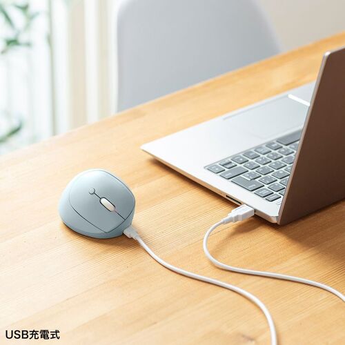 ���C�����X�}�E�X Bluetooth ���^ �G���S�m�~�N�X �É� 5�{�^�� �߂�/�i�ރ{�^������ DPI�ؑ� �}���`�y�A�����O 2.4GHz �u���[LED FREERO�V���[�Y �u���[