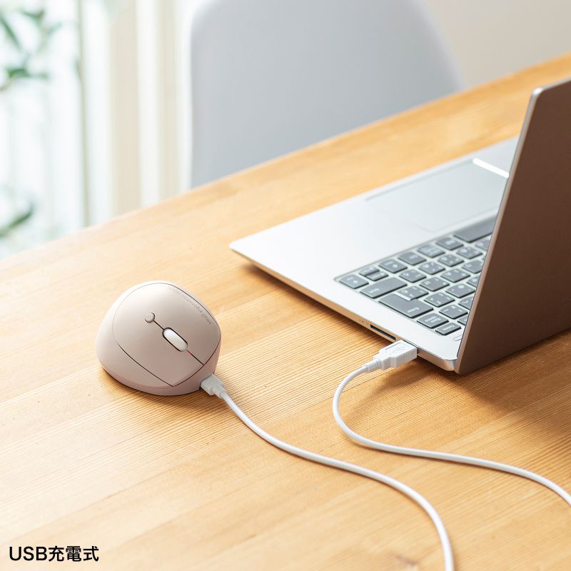 ���C�����X�}�E�X ���^ �G���S�m�~�N�X �É� 5�{�^�� �߂�/�i�ރ{�^������ DPI�ؑ� 2.4GHz �u���[LED FREERO�V���[�Y �x�[�W��