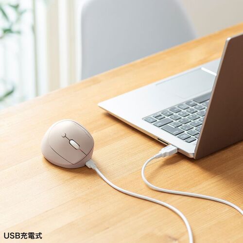 ���C�����X�}�E�X ���^ �G���S�m�~�N�X �É� 5�{�^�� �߂�/�i�ރ{�^������ DPI�ؑ� 2.4GHz �u���[LED FREERO�V���[�Y �x�[�W��