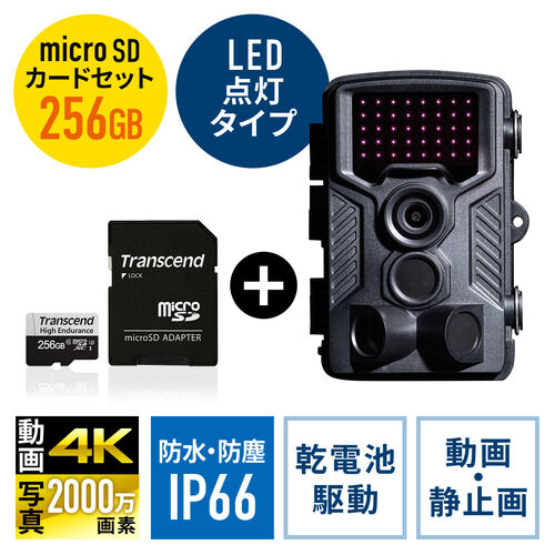 防犯カメラ トレイルカメラ＋256GB microSDXCカードのセット（400-CAM091+TS256GUSD350V）  402-CAM091SET1