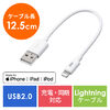 Z LightningP[u 12cm  iPhone iPad [d f[^ʐM Apple MFiFؕi zCg 500-IPLM010WK2